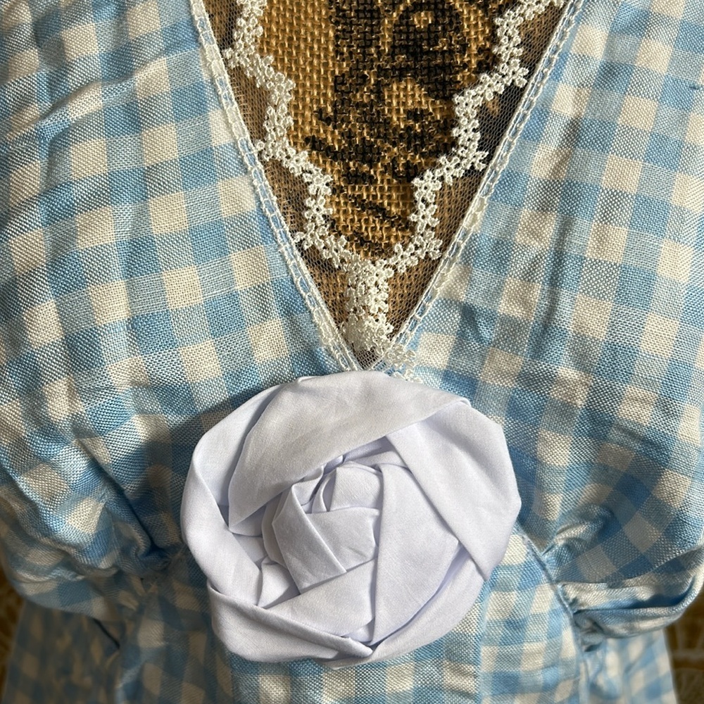 NWT SLEEPER The Genus Rosa Linen Blend Gingham Midi Dress in Blue Vichy Sz XL - Picture 2 of 15